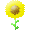 �`�F�b�N