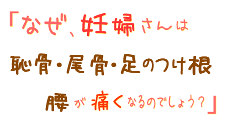 妊娠中の恥骨 股関節 足の付け根 尾骨の痛み 腰痛 原因 対処法