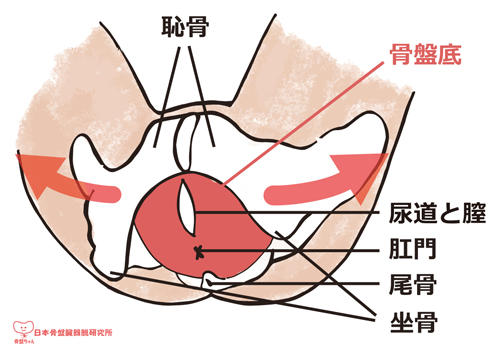 後期 付け根 の 妊娠 痛い 足 危険信号？ 妊娠中に感じる筋肉痛のような痛みの原因と予防法